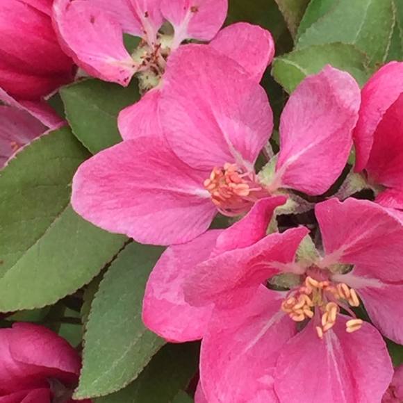 Meet your Posher, Becky - Picture 1 of 1